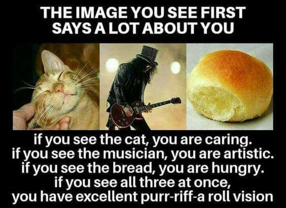 THE IMAGE YOU SEE FIRST
SAYSALOTABOUT YOU

LS
if you see the cat, you are caring.
if you see the musician, you are artistic.
if you see the bread, you are hungry.
if you see all three at once,
you have excellent purr-riff-a roll vision