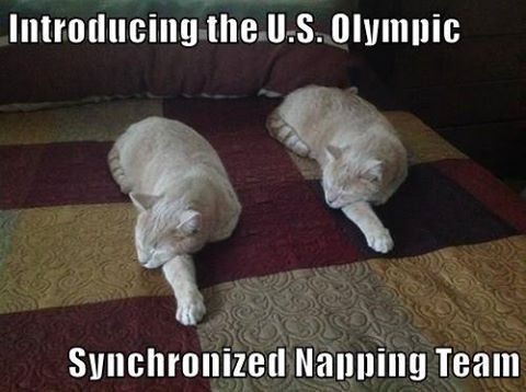 Introducing.the.U.S.0lympic

 

Synchronized Napping Team