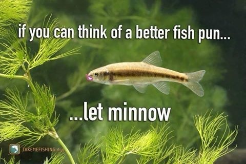 if you'can think of a better fish pun...

: 3 SCTE TTS