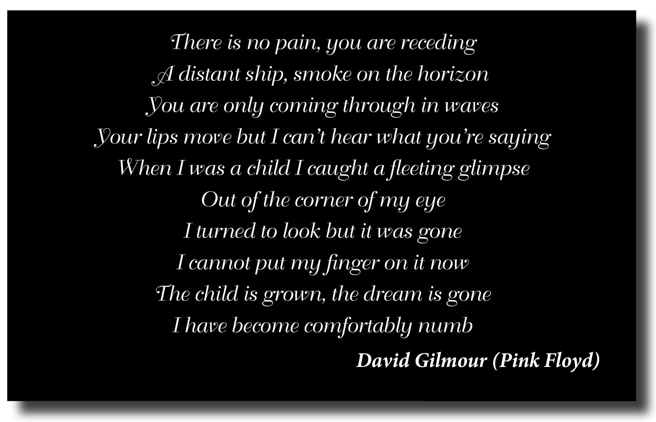 VIS ACR oN (TI you are receding
A distant ship, smoke on the horizon
You are only coming through in waves

Your lips move but I can’t hear what you're saying

When T'was a child I caught a fleeting glimpse

OV No MINION Io WIRTVRATE
[ turned to look but it was gone
[ cannot put my finger on it now
‘The child is grown, the dream is gone
I have become comfortably numb
David Gilmour (Pink Floyd)