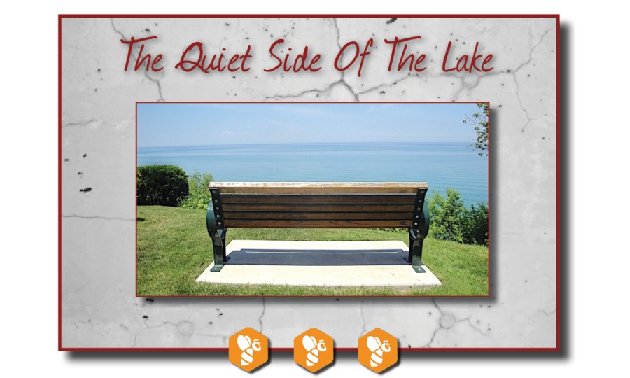 The Quiet Side OF The Lake.