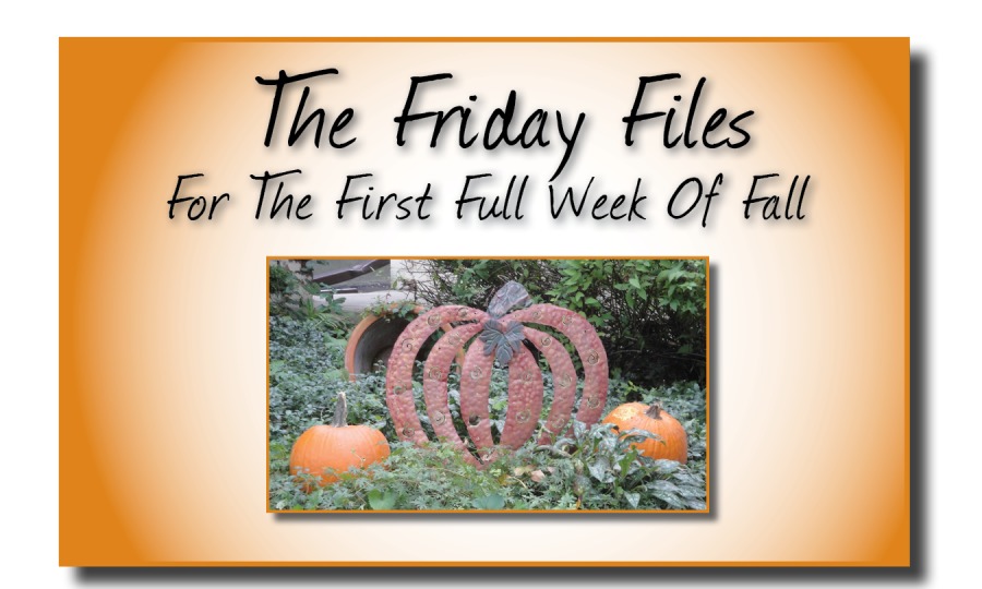 The Friday Files

For The First Full Week Of fall