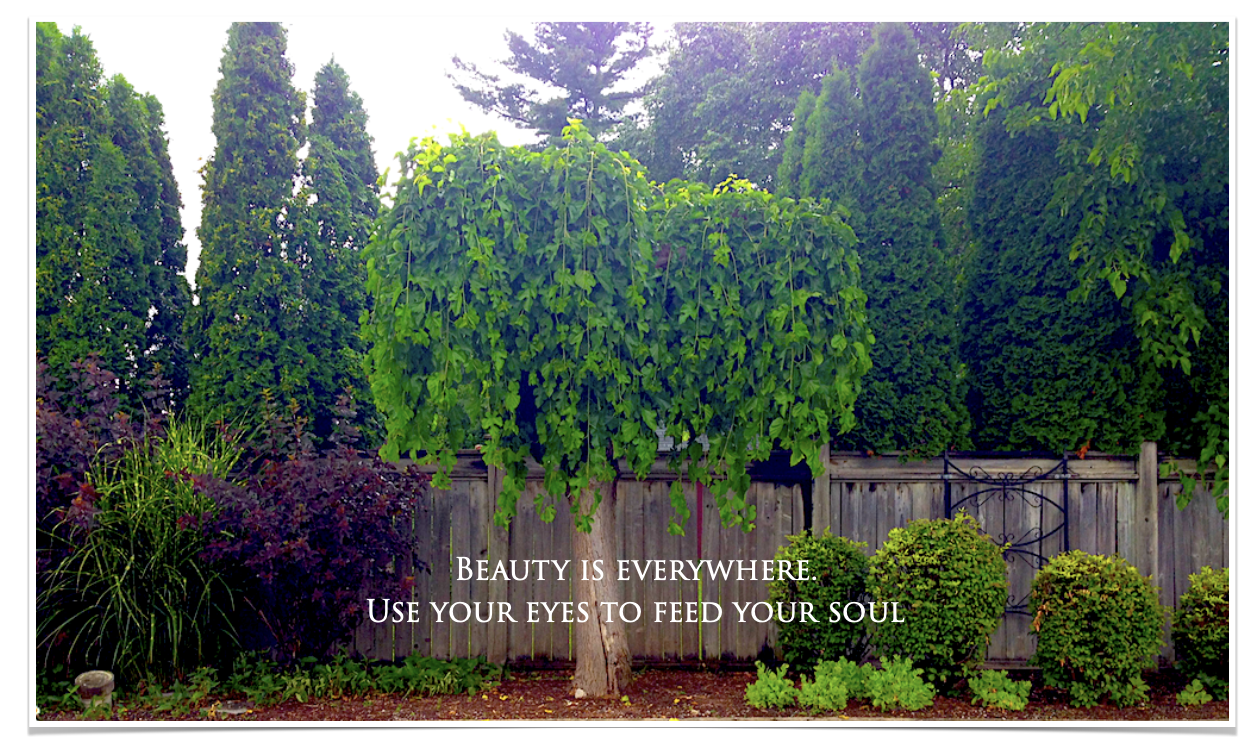 BEAUTY 1% EVERYWHERE.
USE YOUR EVERNO FEED YOUR SOUL