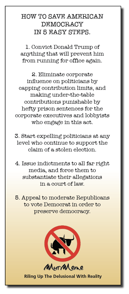HOW TO SAVE AMERICAN
DEMOCRACY
IN 5 EASY STEPS.

1. Convict Donald Trump of
anything that will prevent him
from running for office again

2 Eliminate corporate
influence on politicians by
capping contribution limits, and
making under-the-table
contributions punishable by
hefty prison sentences for the
corporate executives and lobbyists
who engage tn this act,

3. Start expelling politicians at any
level who continue to support the
claim of a stolen election

4. Issue indictments to all far right
media, and force them to
substantiate their allegations
in a court of law

5. Appeal to moderate Republicans
to vote Democrat in order to
preserve democracy.

Mach ene

Riling Up The Delusional With Reality