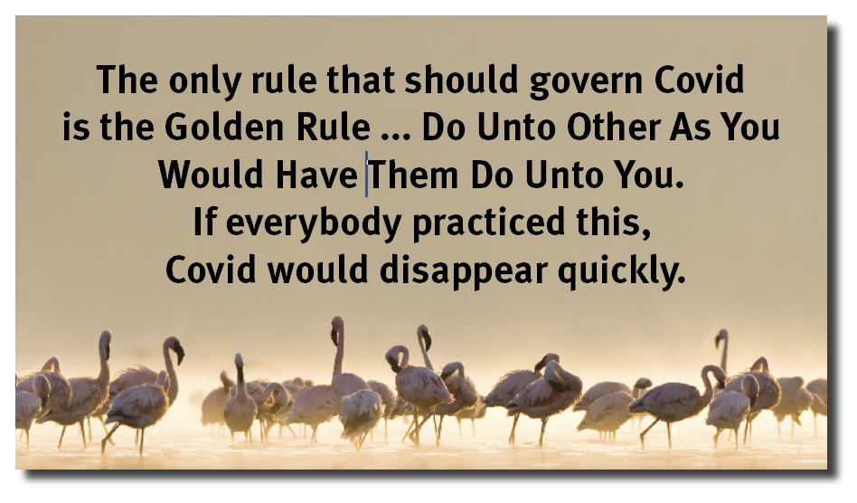 The only rule that should govern Covid
is the Golden Rule ... Do Unto Other As You
Would Have Them Do Unto You.

If everybody practiced this,

Covid would disappear quickly.

We Anni abo mits
