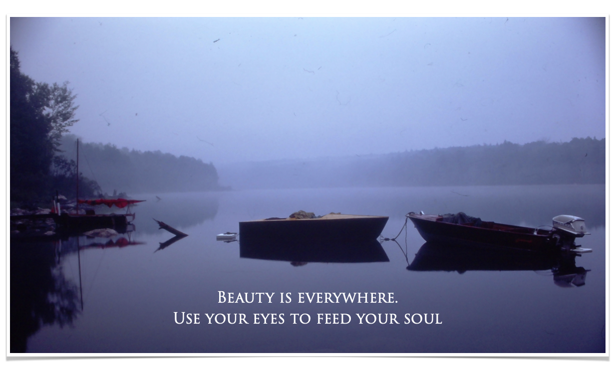 BEAUTY IS EVERYWHERE.
USE YOUR EYES TO FEED YOUR SOUL