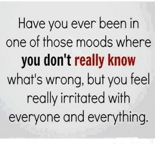 Have you ever been in
one of those moods where
you don't really know
what's wrong, but you feel
really irritated with
everyone and everything.