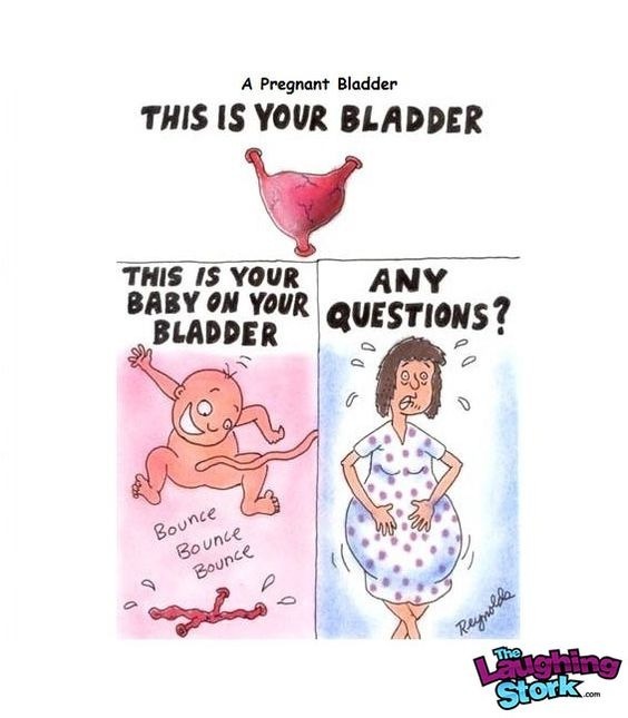 A Pregnant Bladder
THIS IS YOUR BLADDER

ELBIT airs?
LADDE |S pd