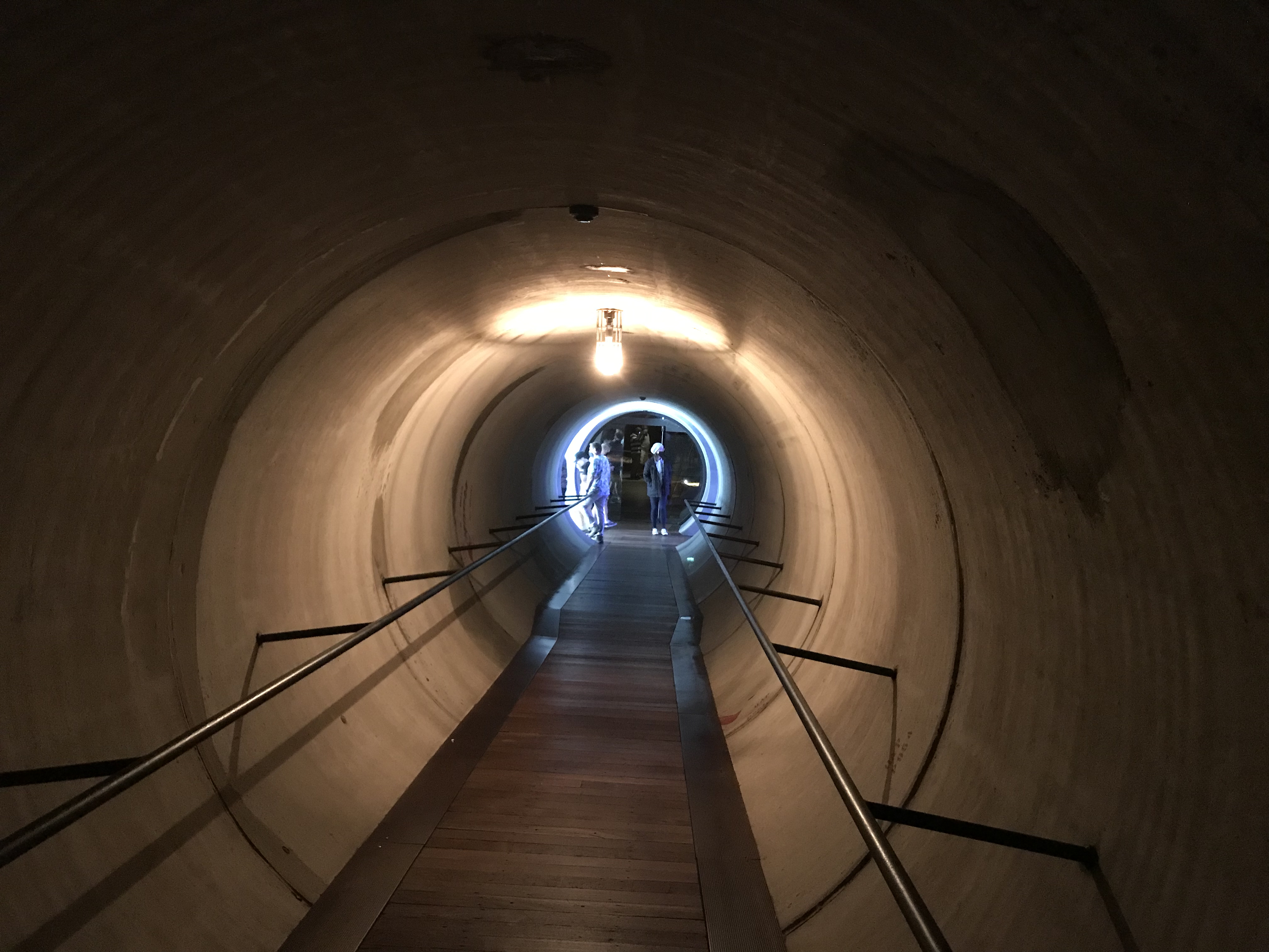 Concrete pipe lined tunnel to library.