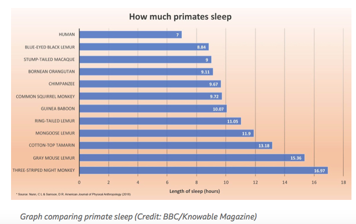 How much primates sleep
[ee ——
commas
Comma sca nar
pr.
ame go usa
someone uns
orion cr saan
cane wen um
eat ar ar cat

 ]

Graph comparing primate sleep (Credit: BBC/Knowable Magazine)