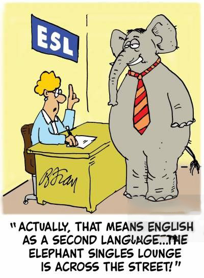 WACTUALLY, THAT MEANS ENGLISH
AS A SECOND LANGINGE THE
ELEPHANT SINGLES LOUNGE
IS ACROSS THE STREET!"