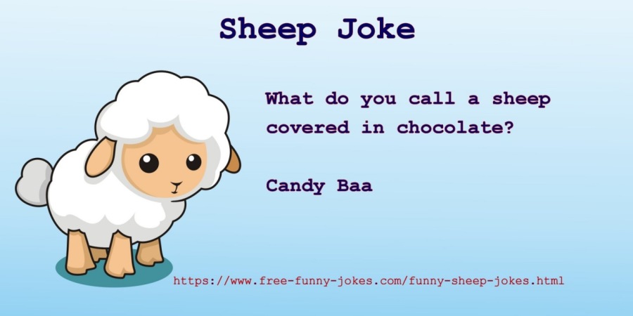 Sheep Joke

What do you call a sheep
covered in chocolate?

Candy Baa

  

httpa://www.free-funny-jokes.com/funny-sheep-jokes.html