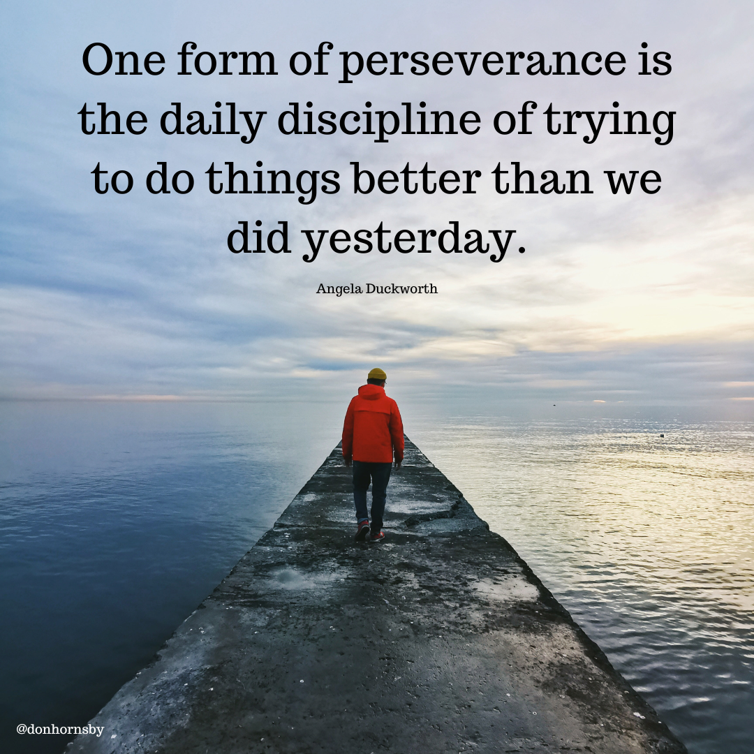 One form of perseverance is
the daily discipline of trying
to do things better than we
did yesterday.

Angela Duckworth