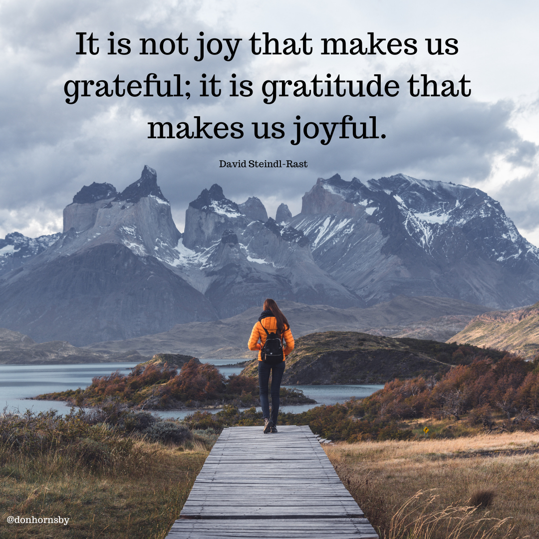 It is not joy that makes us
grateful; it is gratitude that
makes us joyful.

David Steindl- Rast

 

 

[nr