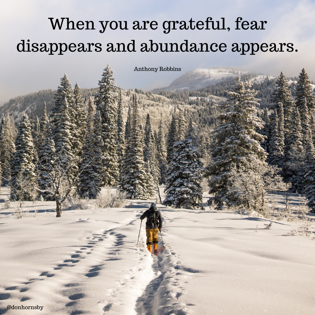 When you are grateful, fear
disappears and abundance appears.

Anthony Robbins

git donhornsby