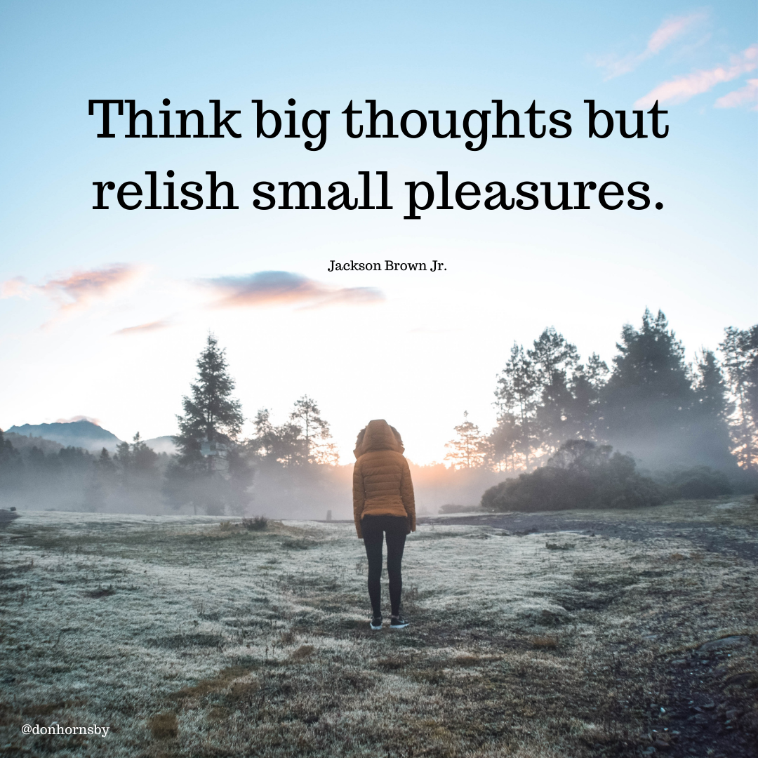 Think big thoughts but
relish small pleasures.

Jackson Brown Jr.