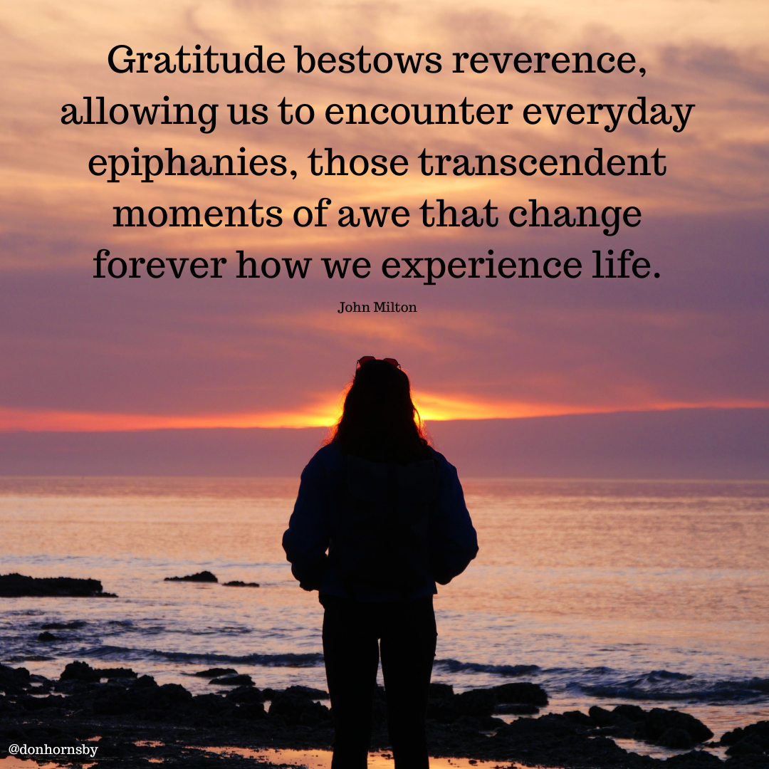 Gratitude bestows reverence,
allowing us to encounter everyday
epiphanies, those transcendent
moments of awe that change
forever how we experience life.

John Milton

 

—-
@donhornshy