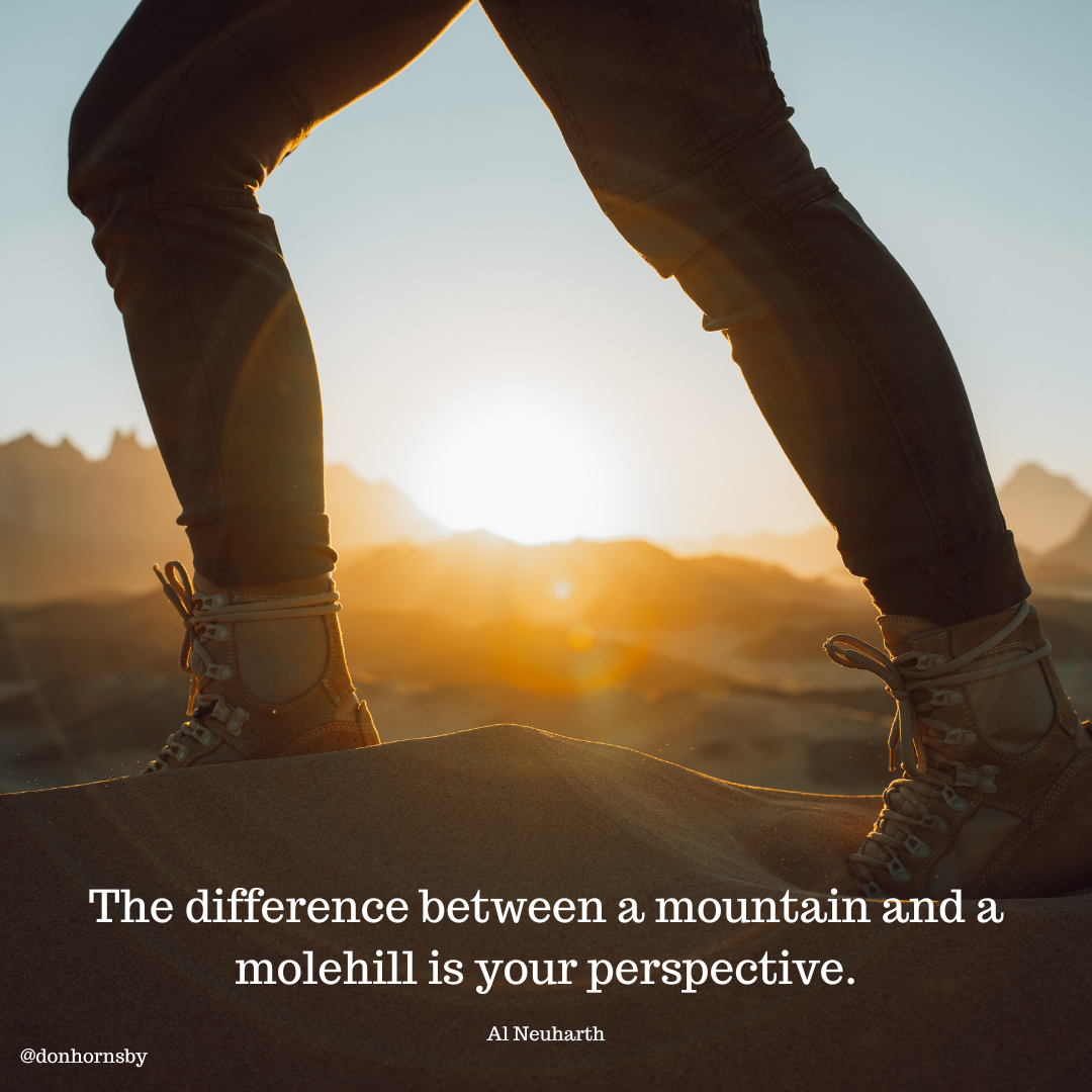 The difference between a mountain and a
molehill is your perspective.

Al Neuharth

@donhornsby