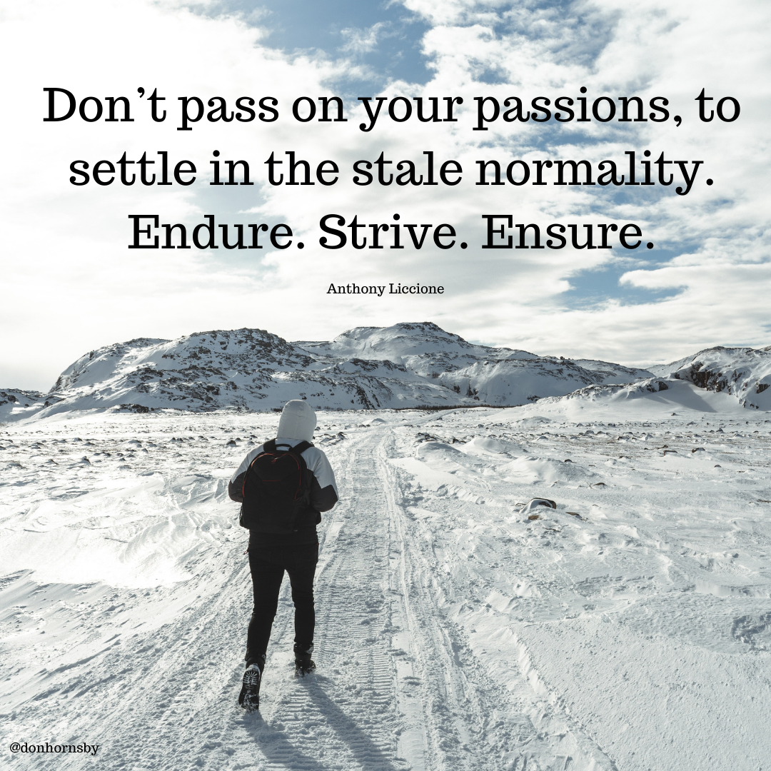 Don’t pass on your passions, to
settle in the stale normality.
Endure. Strive. Ensure. .

Anthony Liccione
