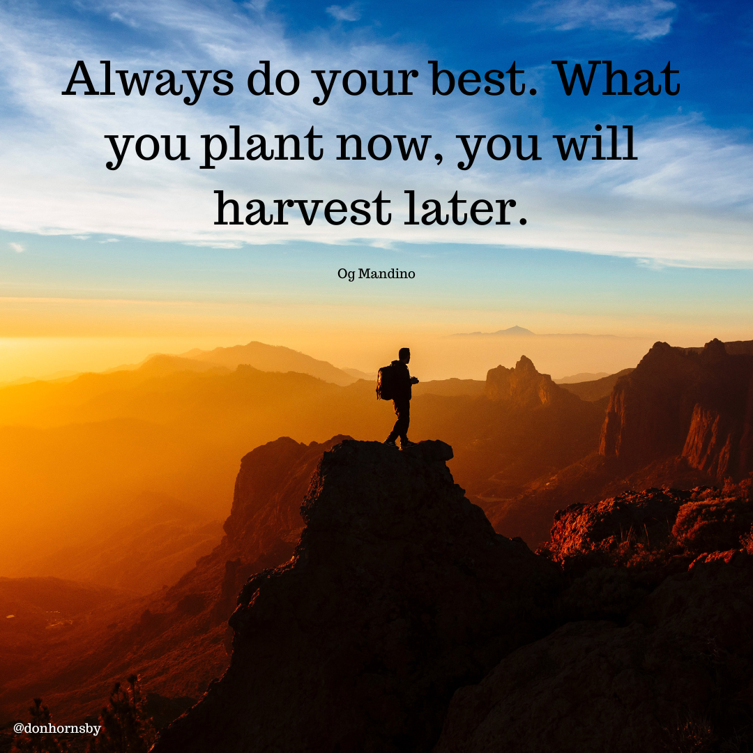 Always do your best
you plant now, you
harvest later.

0g Mandino

 

@donhornsby
