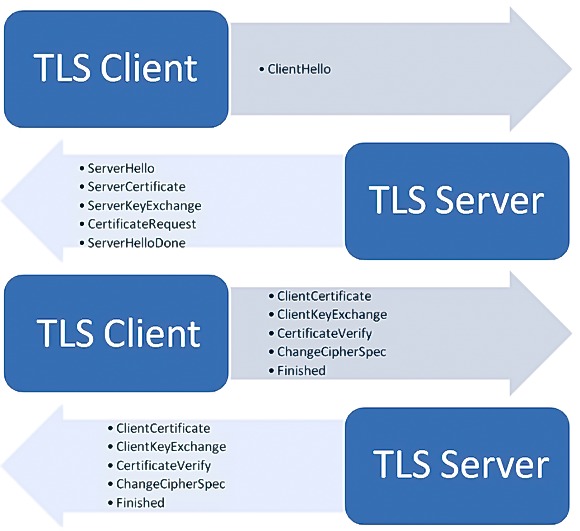 REY EITTo coe

TLS Server

 

 

TLS Client

etmined

TLS Server