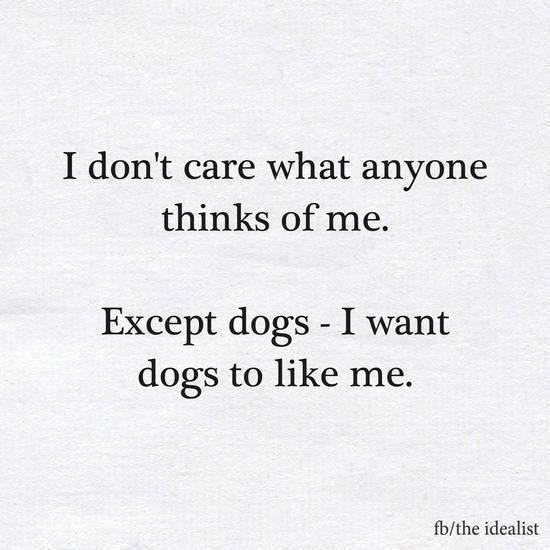 I don't care what anyone
thinks of me.

Except dogs - I want
dogs to like me.

fb/the idealist