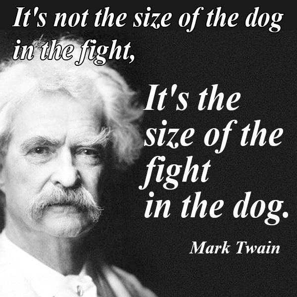 It s not the size of the dog

fight
1 R1 TA}

Mark Twain

   

\