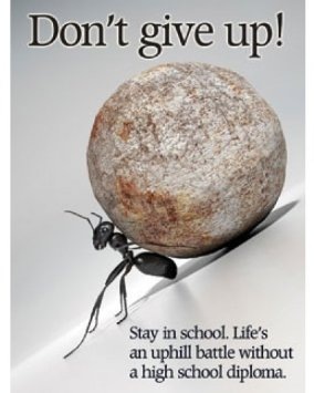 "Don't give up!