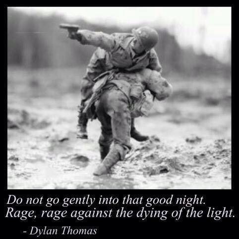 Do not go gently into that good night
Rage, rage against the dying of the light.
J RETR
