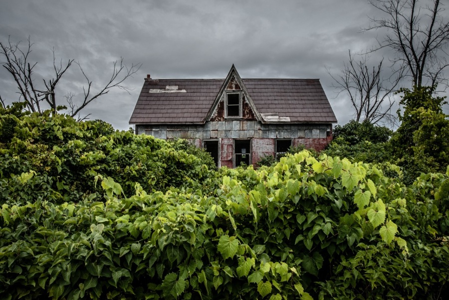 Photo: Abandoned Dream © Kevin Pashuk