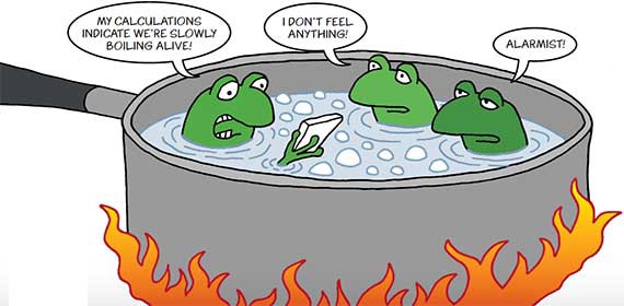 It's not too late, don't be the Boiling Frog! | by Aditya Darekar | Medium