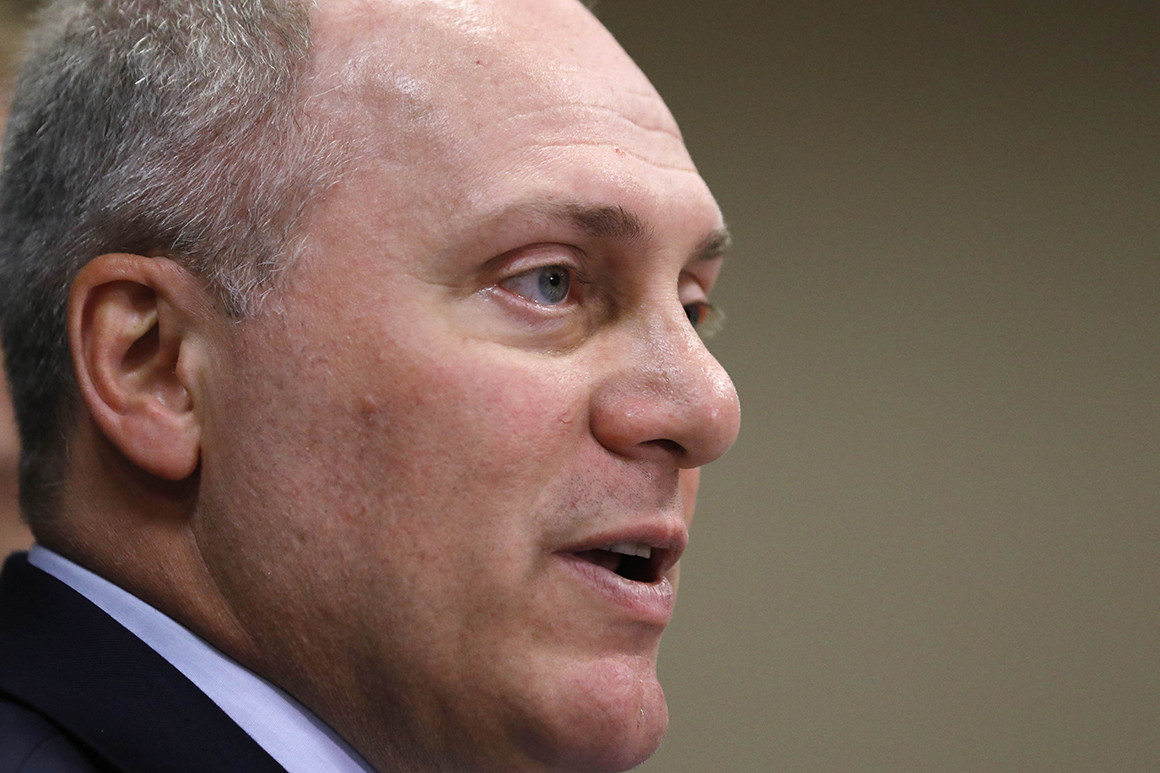 Rep. Scalise wants “the true patriots” to be honored in Washington.
