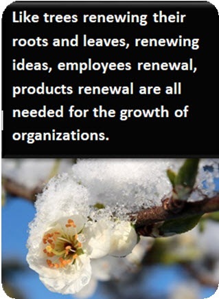 Like trees renewing their
roots and leaves, renewing
ideas, employees renewal,
products renewal are all
needed for the growth of

LI CLIENT EN