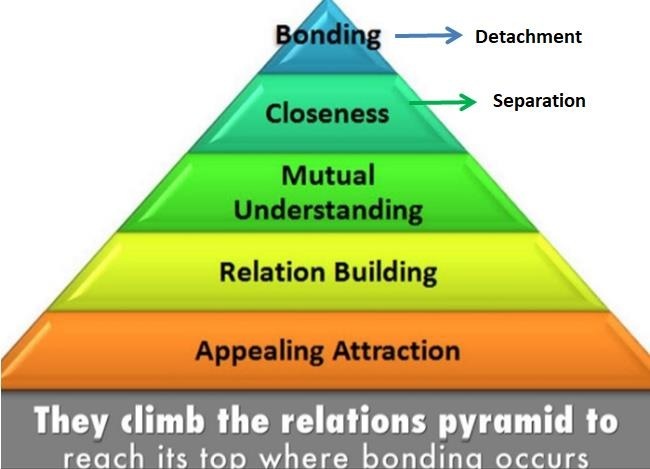 —> Detachment

Separation

 

They climb the relations pyramid to
reach its too where bondina occurs