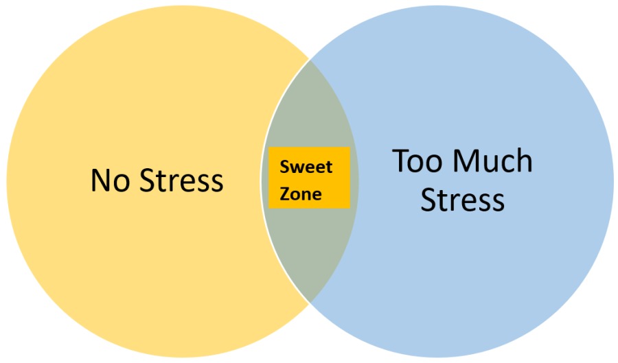 Sweet Too M u ch

No Stress Zone Stress