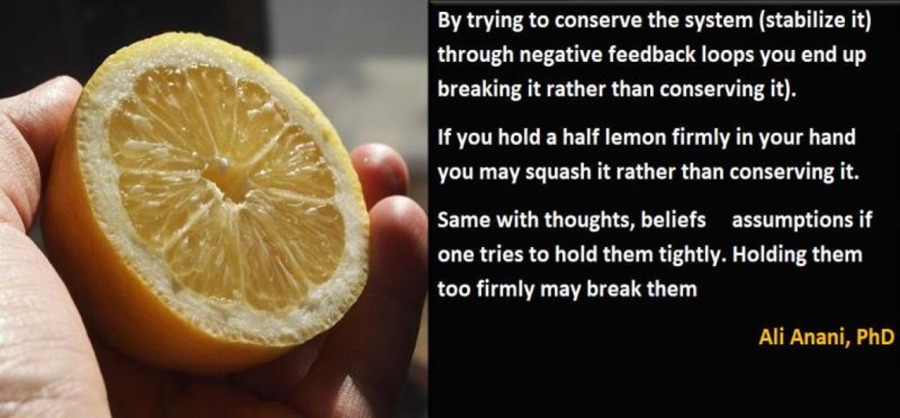 By trying to conserve the system (stabilize it)
through negative feedback loops you end up
breaking it rather than conserving it).

If you hold a half lemon firmly in your hand
you may squash it rather than conserving it.

Same with thoughts, beliefs assumptions if
one tries to hold them tightly. Holding them
too firmly may break them

Ali Anani, PhD