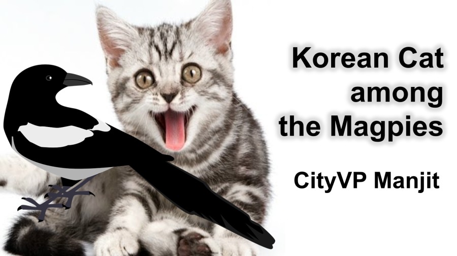 Korean Cat
, among
» the Magpies

CityVP Manjit