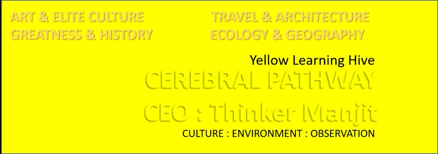 Yellow Learning Hive

CULTURE : ENVIRONMENT : OBSERVATION