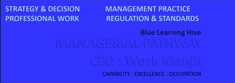 STRATEGY & DECISION MANAGEMENT PRACTICE
PROFESSIONAL WORK REGULATION & STANDARDS