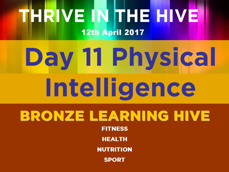 Day 11 Physical

Intelligence