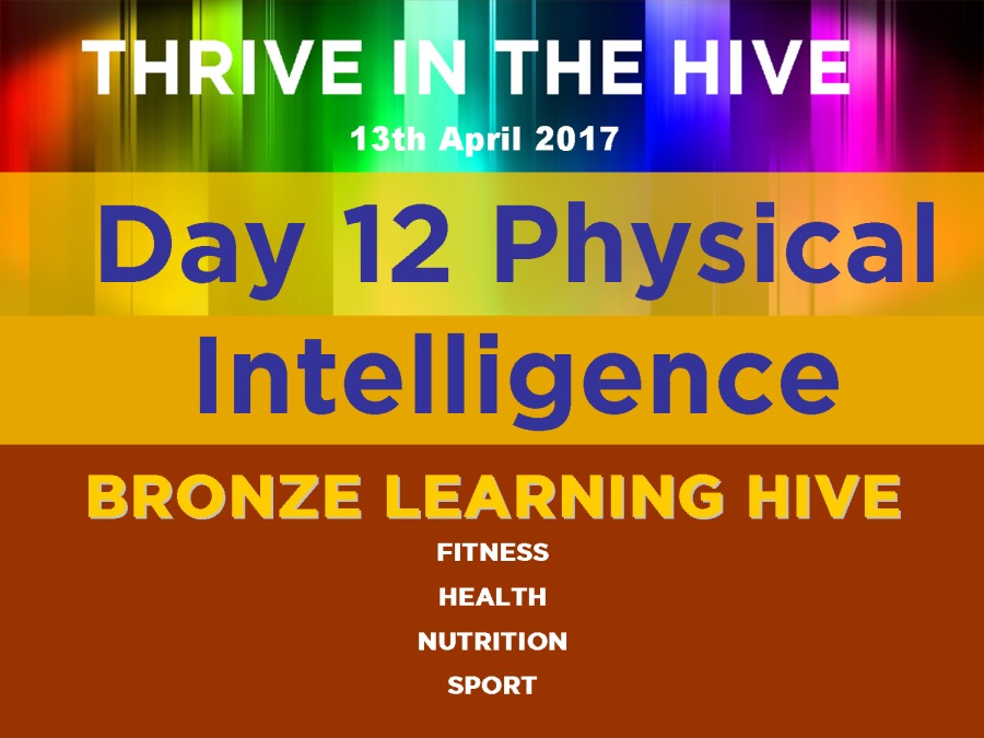 Day 12 Physical

Intelligence