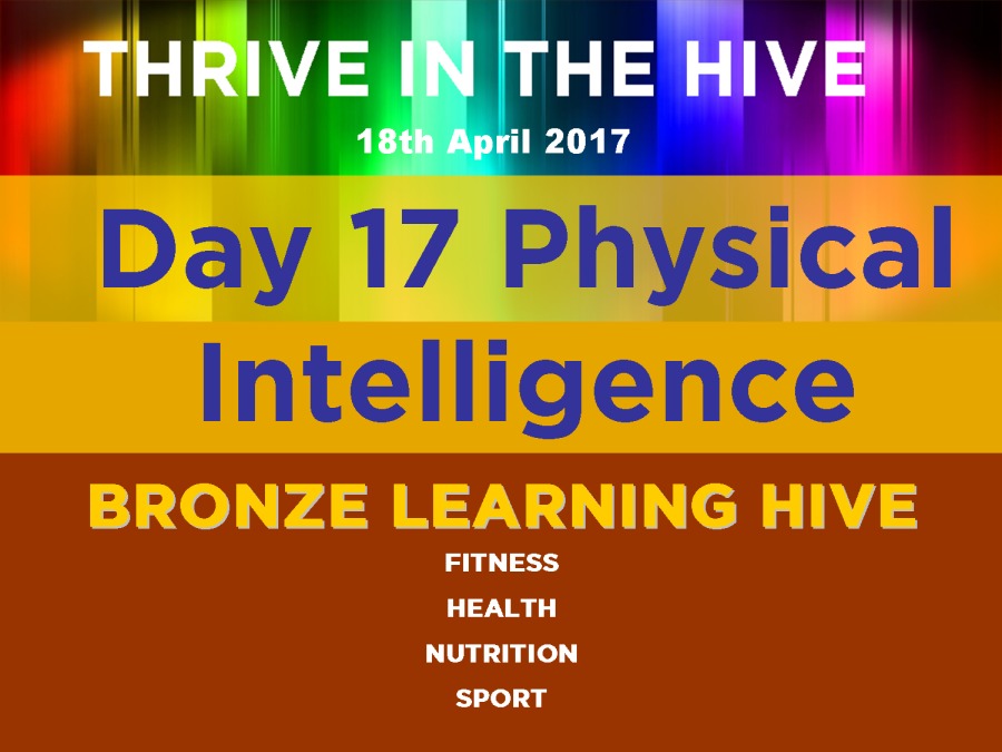 Day 17 Physical

Intelligence