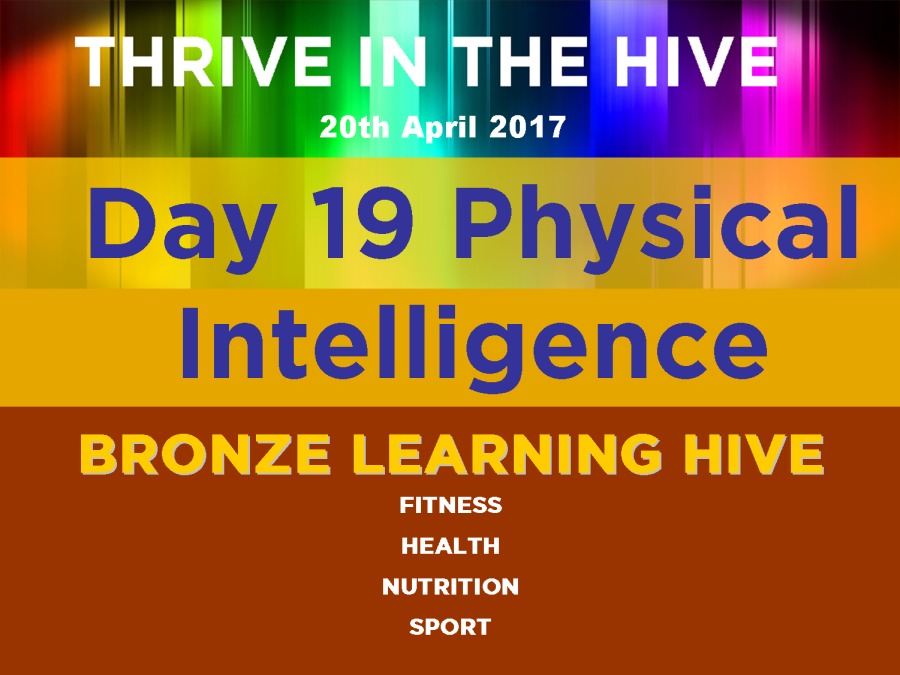 Day 19 Physical

Intelligence