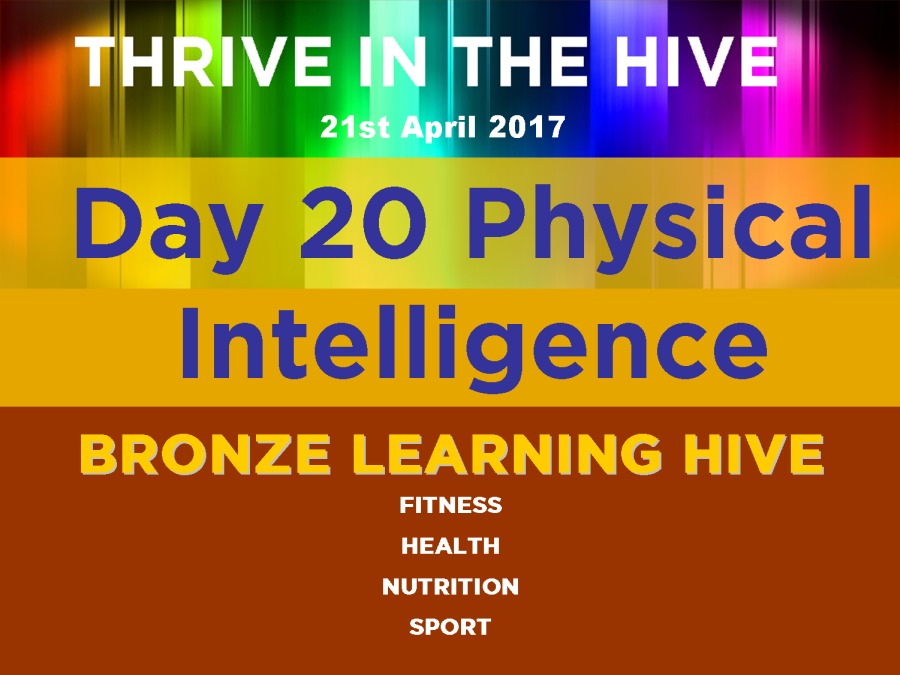 Day 20 Physical

Intelligence