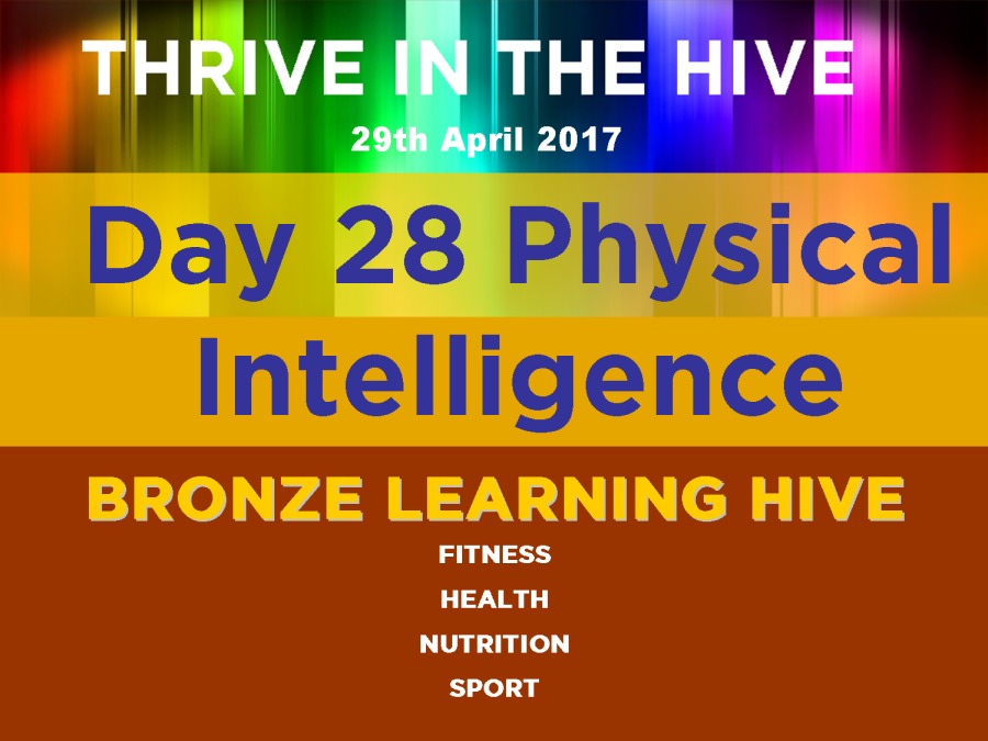 Day 28 Physical

Intelligence