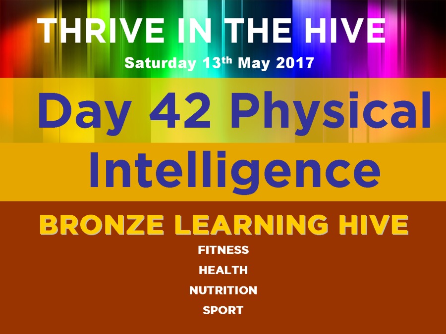 Day 42 Physical

Intelligence
BRONZE LEARNING HIVE

FITNESS