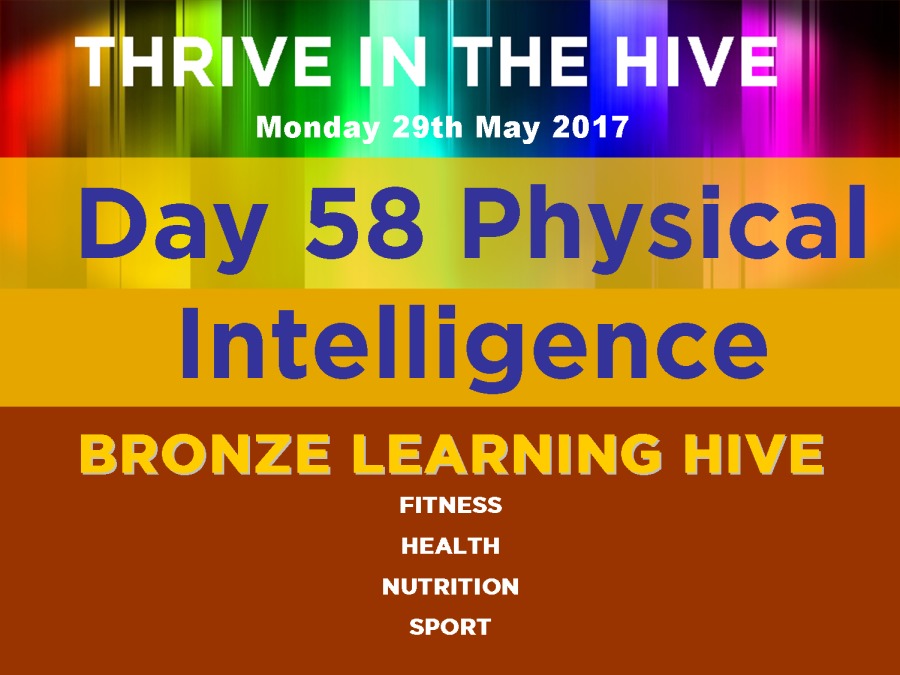 Day 58 Physical
Intelligence
BRONZE LEARNING HIVE

FITNESS