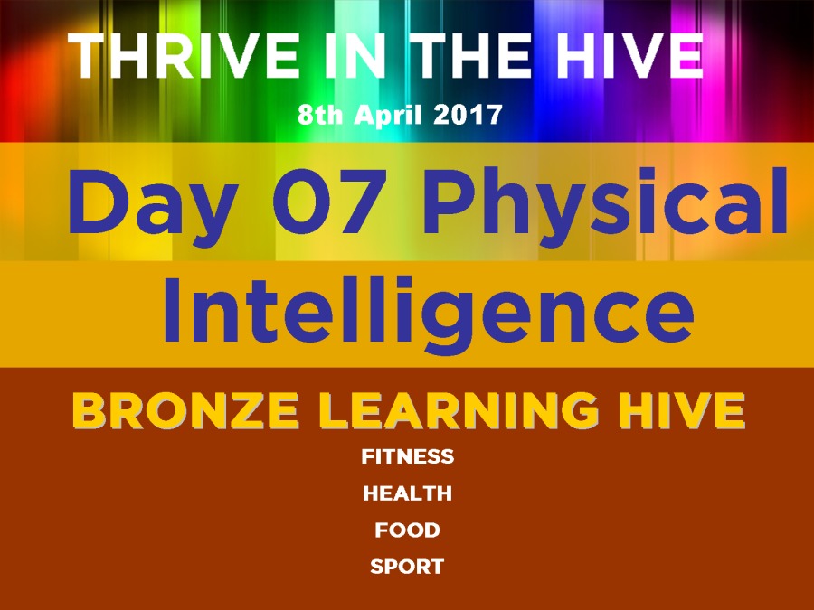 Day O07 Physical

Intelligence