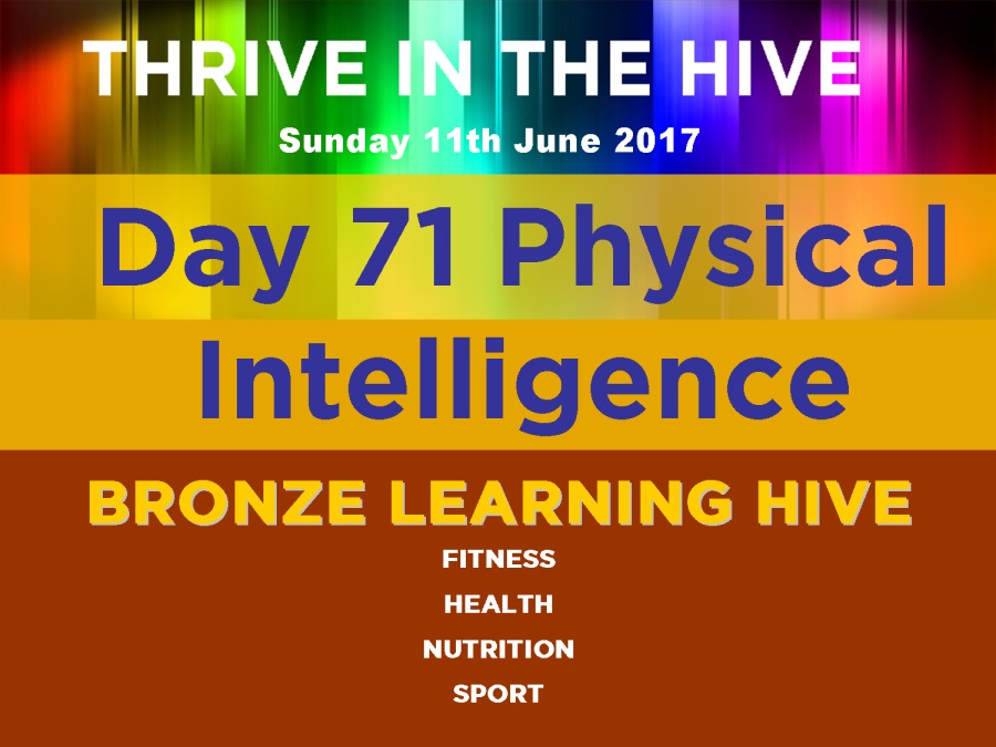 Day 71 Physical

Intelligence
BRONZE LEARNING HIVE

FITNESS