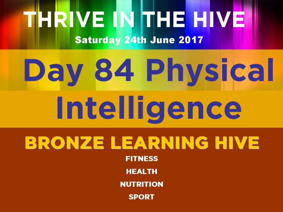 Day 84 Physical

Intelligence
BRONZE LEARNING HIVE

FITNESS